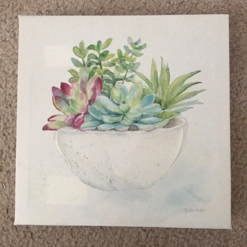 Succulent Canvas